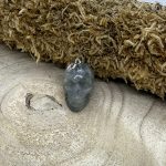 - Votre magasin spécialisé en ésotérisme & lithothérapie.