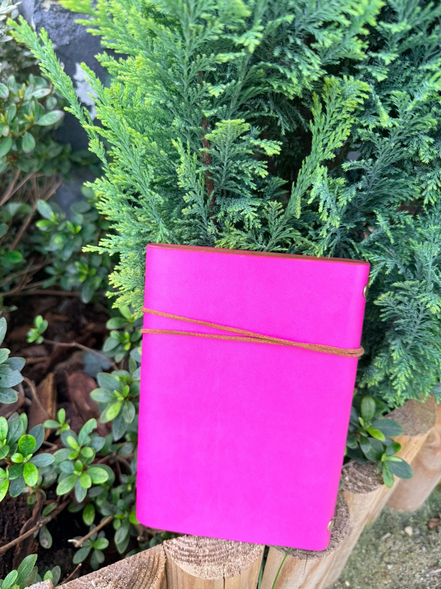 Grimoire Rose Princesse – Image 3