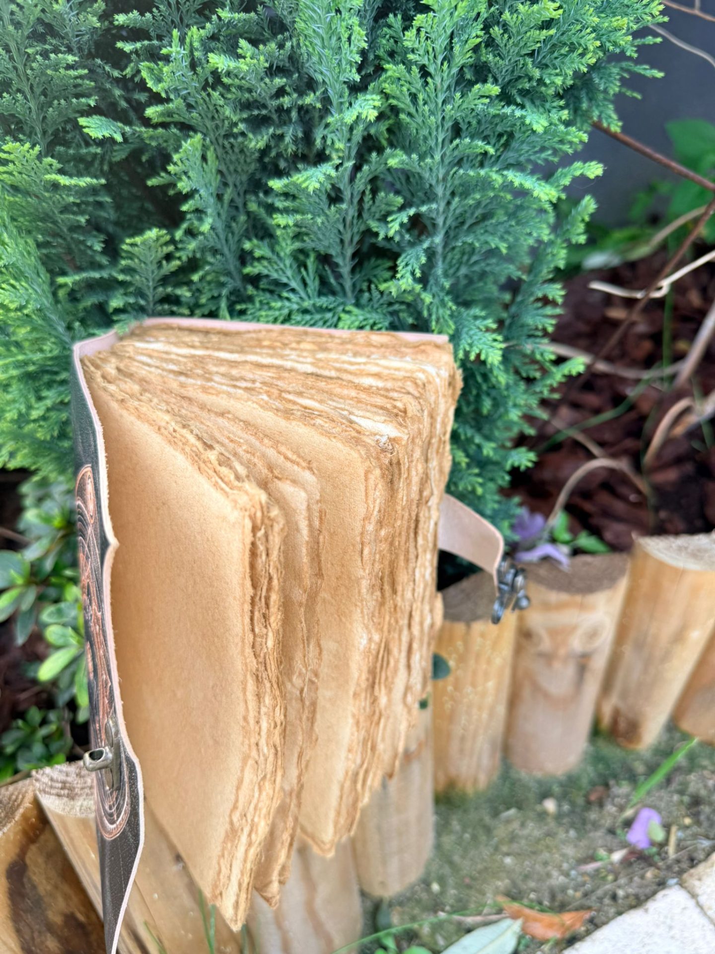 Grimoire motif chat et lune – Image 2