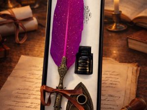 Plume à encre – Coffret d’écriture